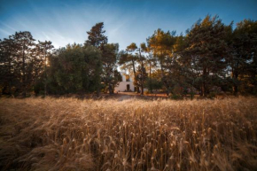 Masseria Fracchicchi